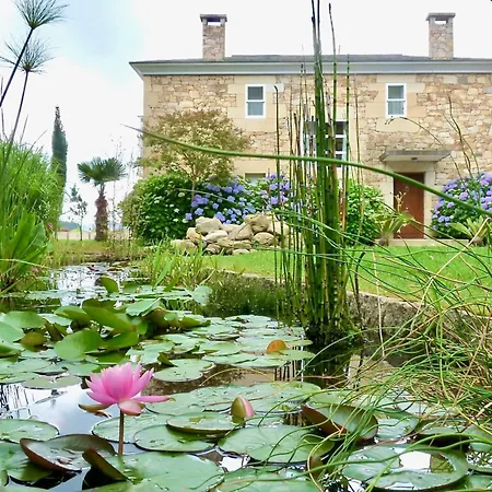 The Cliffs - A Pedrinha