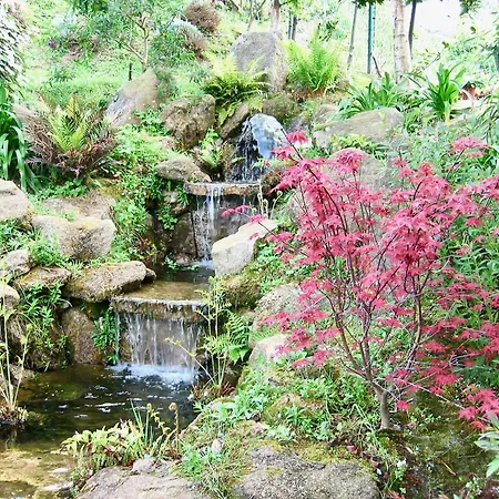 The Cliffs - A Pedrinha *