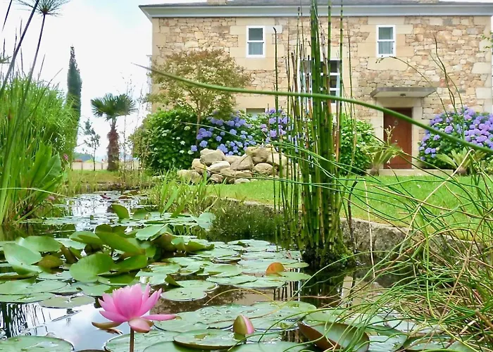 The Cliffs - A Pedrinha