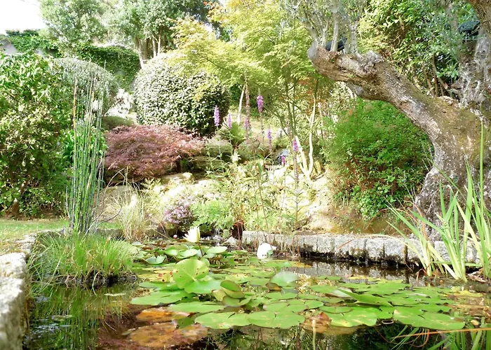 Шале The Cliffs - A Pedrinha Вивейро