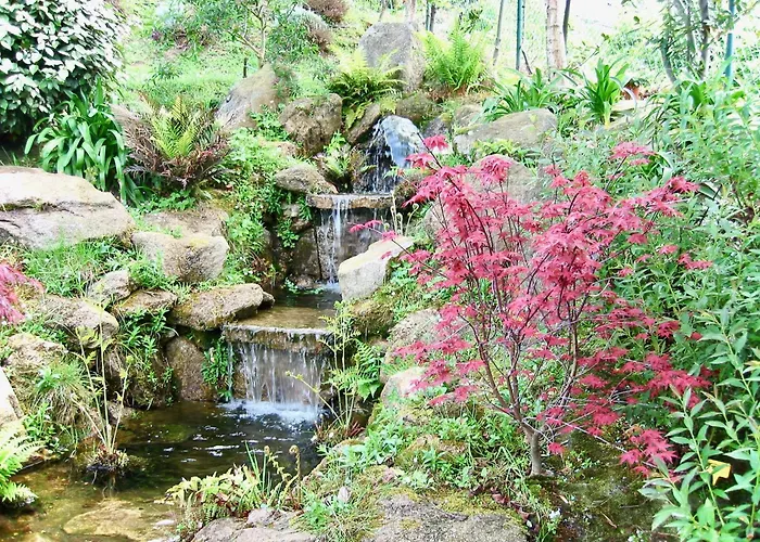 The Cliffs - A Pedrinha *